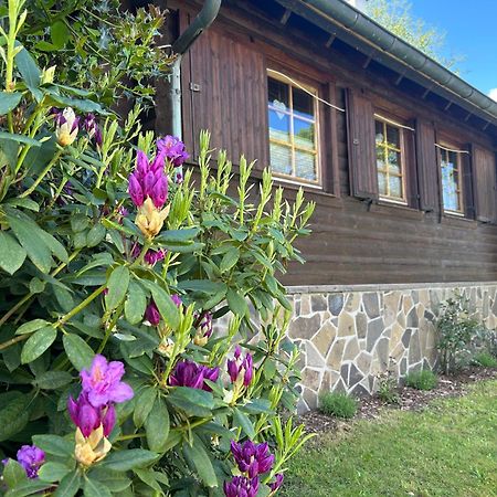 Blockhuette Engeln-Eifel Villa Kempenich Ngoại thất bức ảnh
