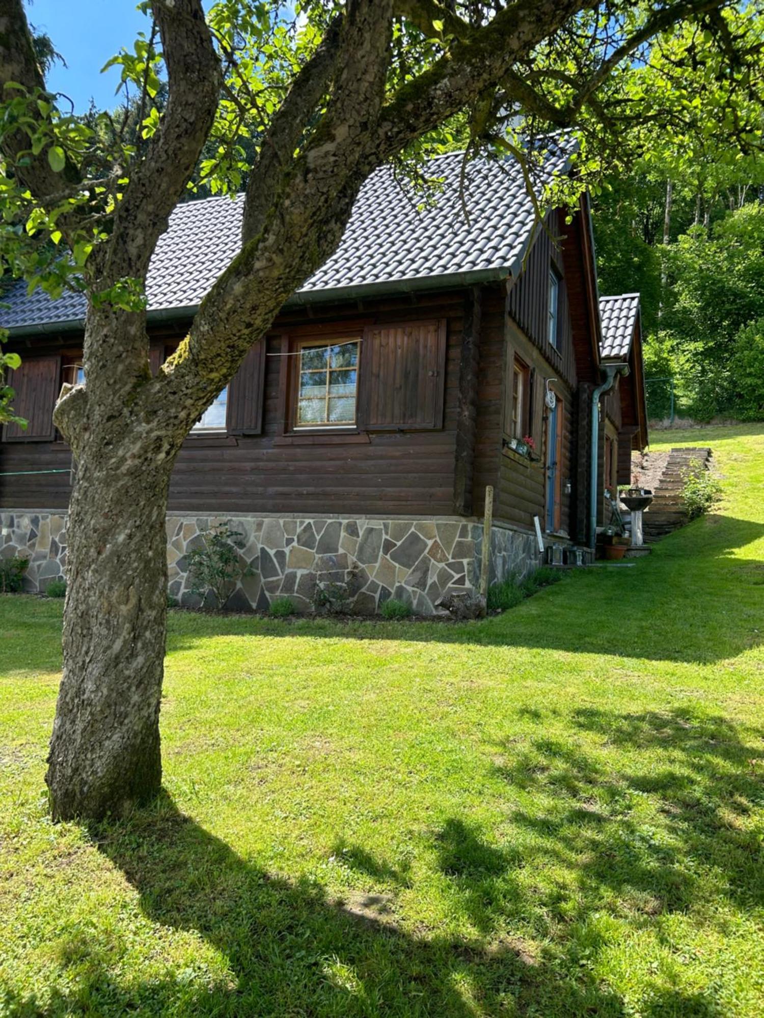 Blockhuette Engeln-Eifel Villa Kempenich Ngoại thất bức ảnh