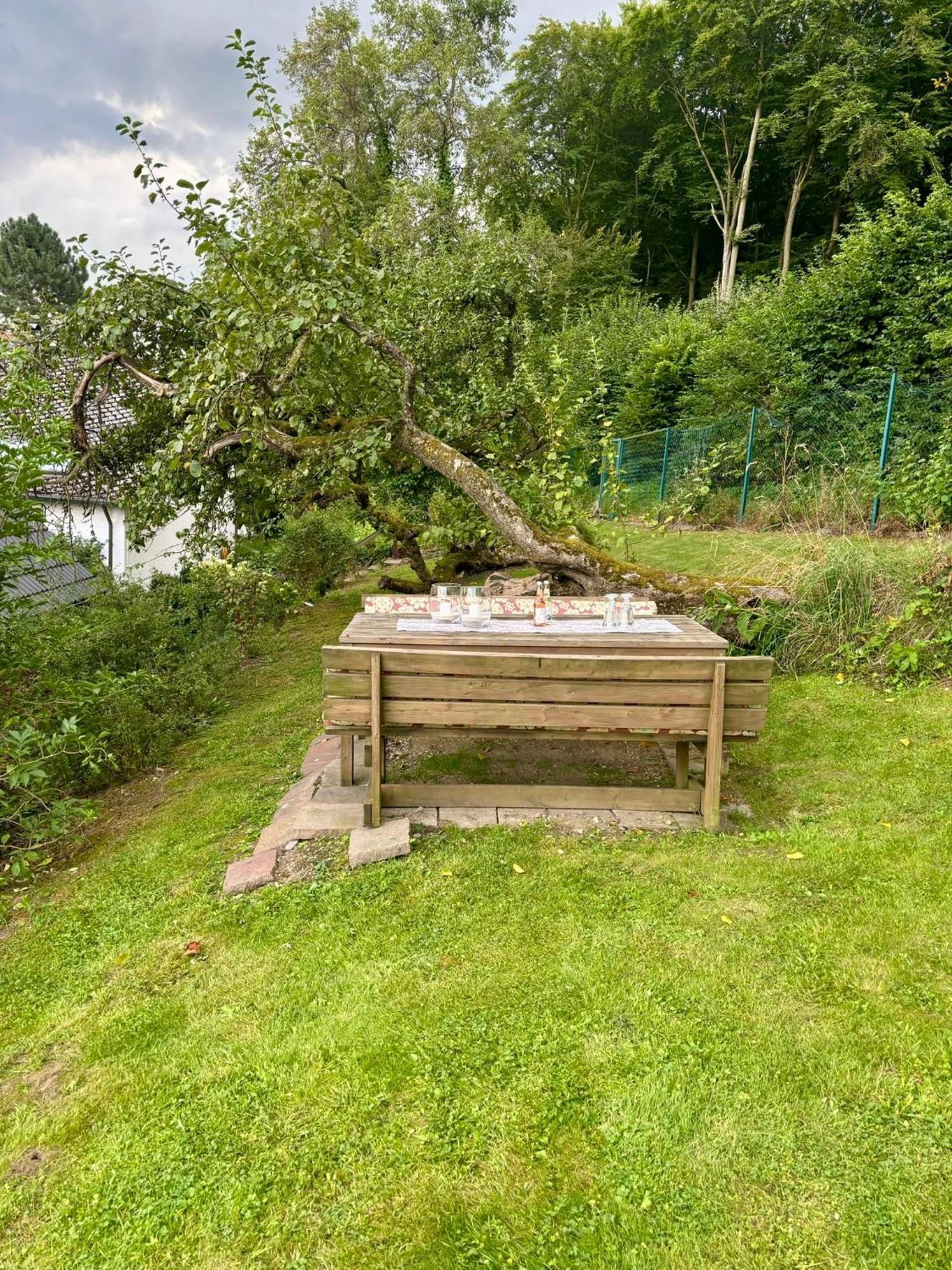 Blockhuette Engeln-Eifel Villa Kempenich Ngoại thất bức ảnh